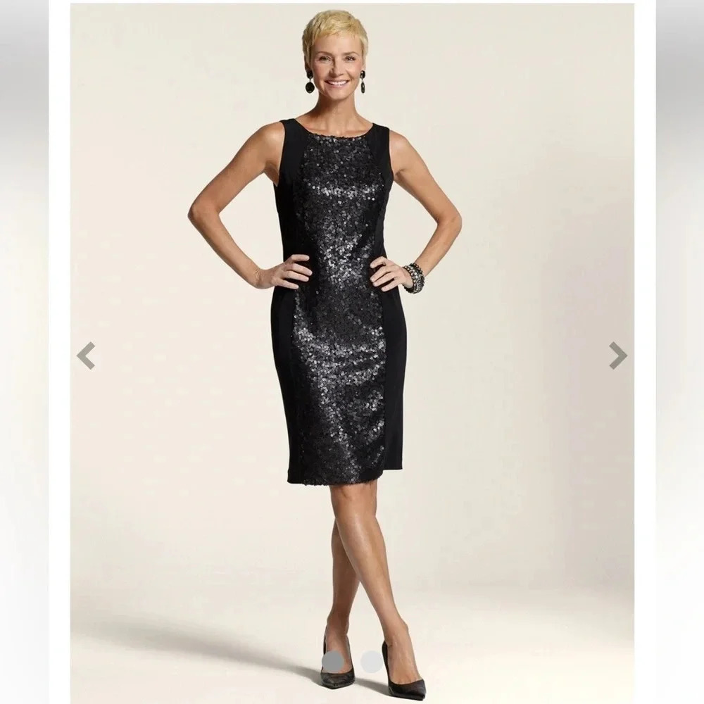Chicos Sequin Panel Shelby Dress Size Small